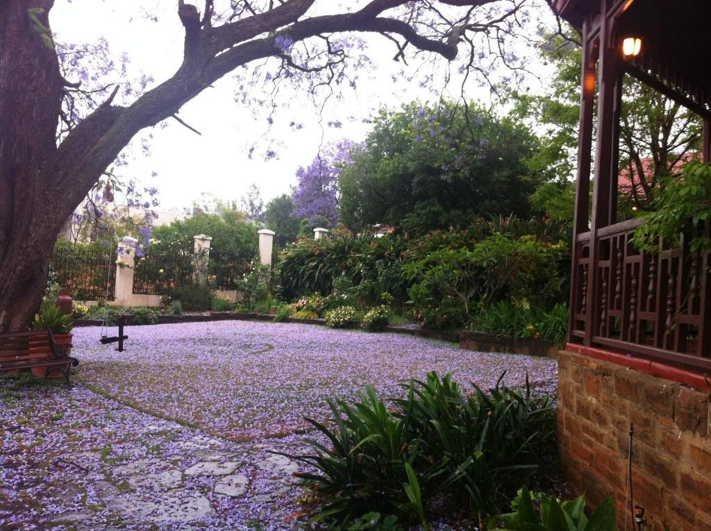 פרטוריה Melvin Residence Guest House מראה חיצוני תמונה